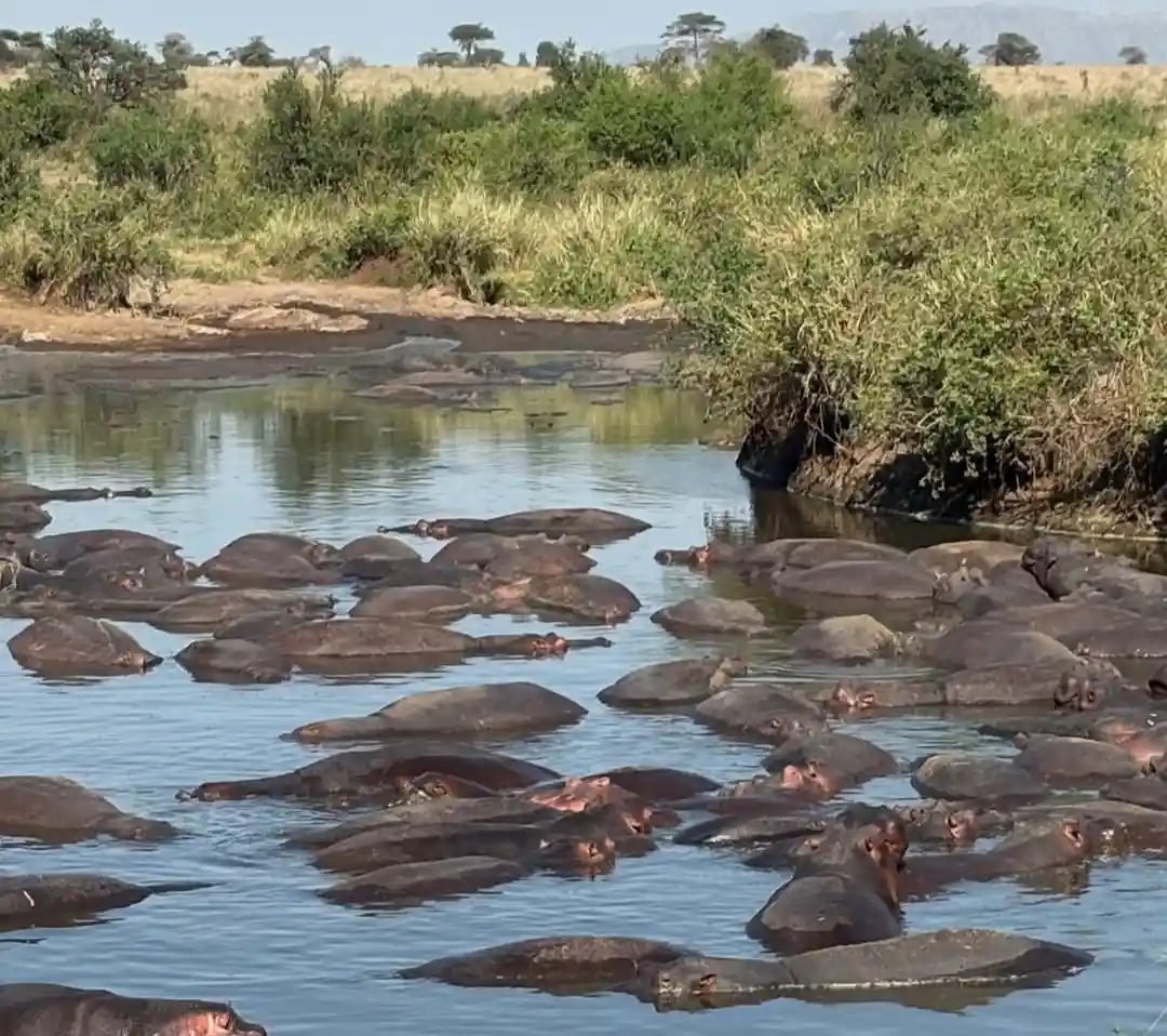 Tarangire