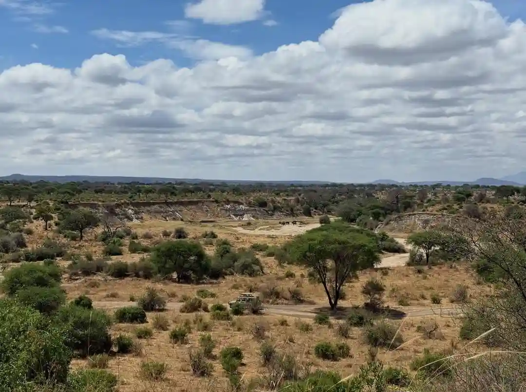 Tarangire